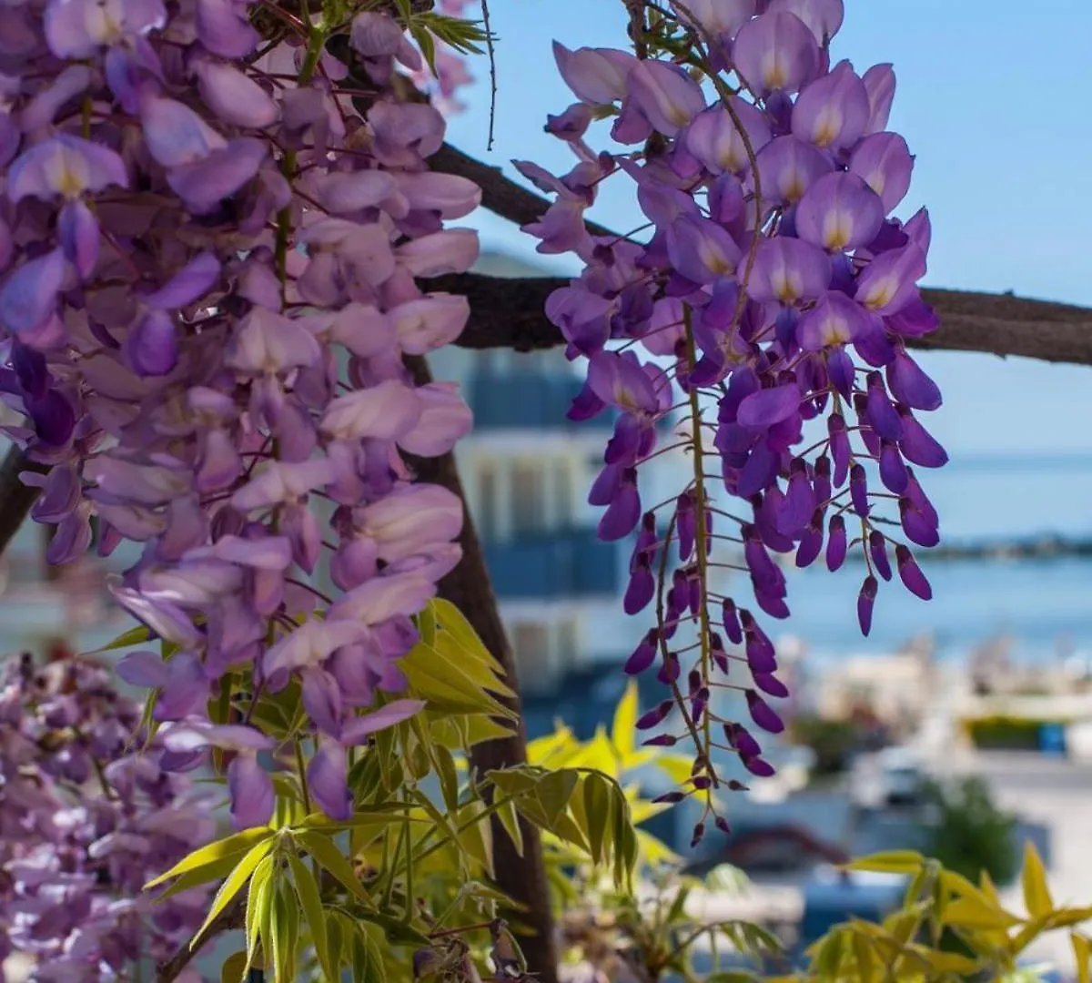 Hotel Albergo Villa Lucia Bellaria-Igea Marina
